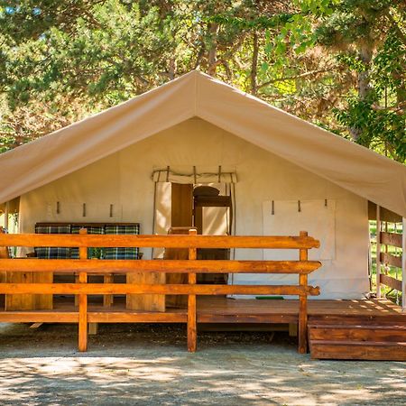 Sunflower Camping Savudrija Esterno foto