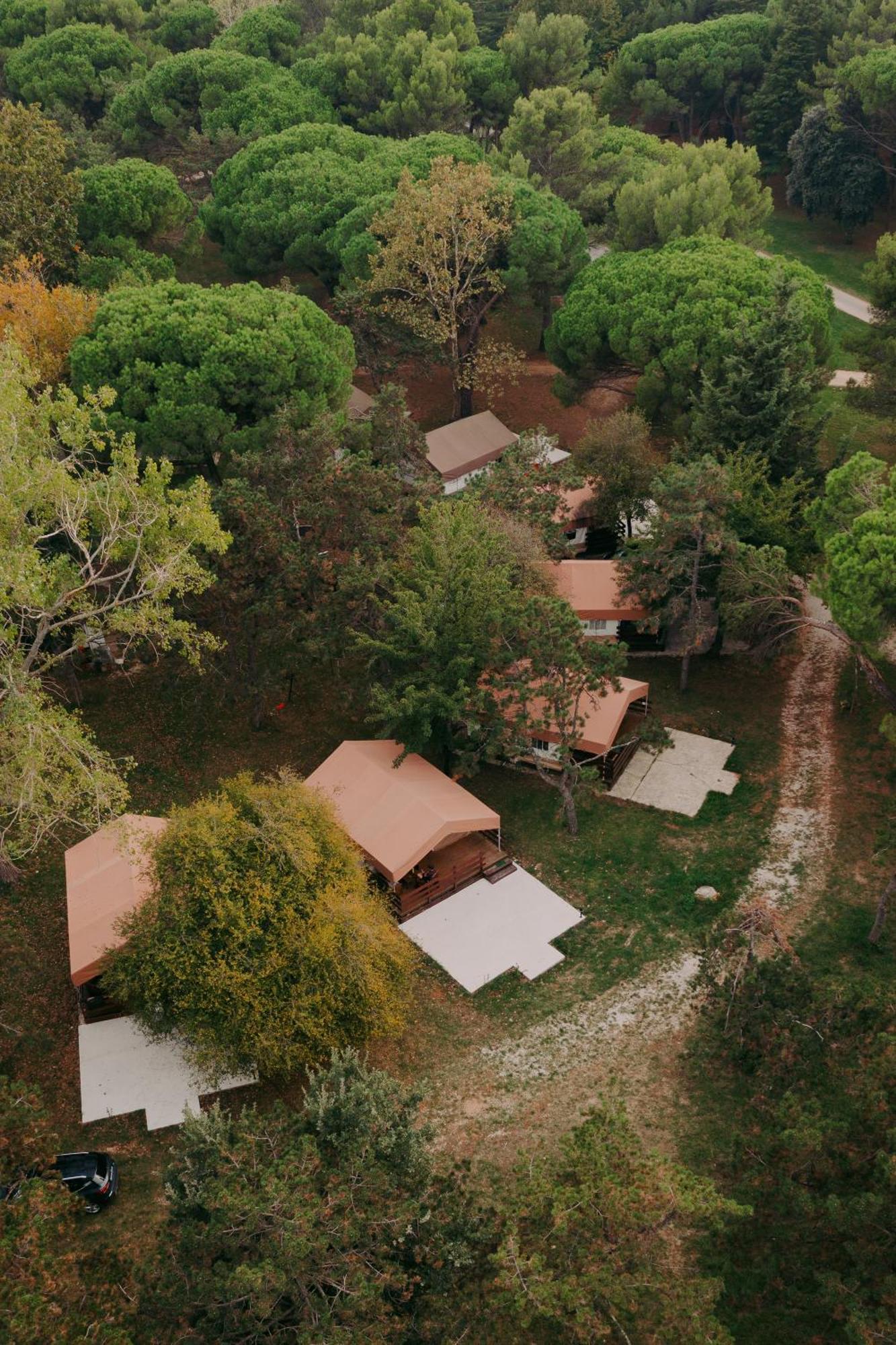 Sunflower Camping Savudrija Esterno foto