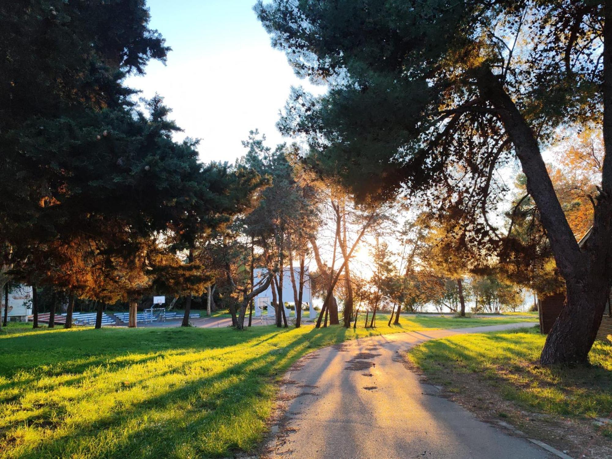 Sunflower Camping Savudrija Esterno foto